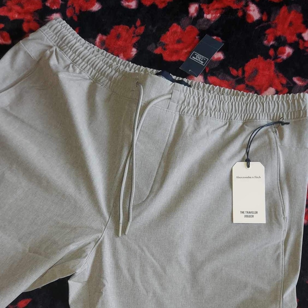 Abercrombie and Fitch Traveler Jogger size XL NWT - Picture 5 of 7